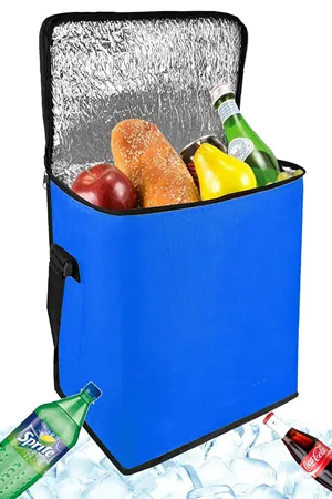 Mavi Isı Yalıtımlı Termal Piknik Çantası